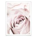 Plakat - 1X Studio - Rose