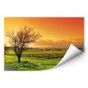 Poster autocollant - W - Paysage de Vignes