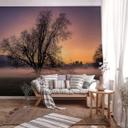 Fototapet Cuadrado - The Fog - 384x260 cm