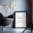 Póster - Expecto Patronum