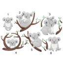 Muursticker set Koala's