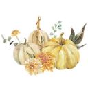 Trío de calabazas en el jardín de otoño