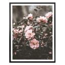 Plakat - Annie - Rose bush