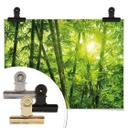 Poster - Rayon de soleil dans la forêt de bambous