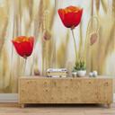 Fototapete Poppies 240x260 cm