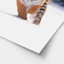 Póster Tigre siberiano en la nieve - van Duijn