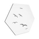 Hexagone - alu-Dibond Mouettes dans le ciel