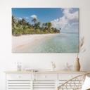 Lienzo Palm Beach en los Mares del Sur - Colombo