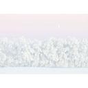 Fotomural paisaje invernal - bosque nevado de invierno con luna - EMELIEmaria