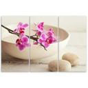 3 stykke lærredsprint, Orchid Bowl Flowers Beige