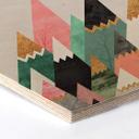 Hexagon Hout Fredriksson - Bonte Bergen