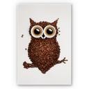 Tableau Forex - Hibou café