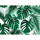 Designwalls tapet i grønt og hvidt non-woven tapet Palmer Palmer palmer 0