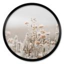 Plakat Annie - Ice Flowers