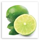 Canvasbillede, limefrugt