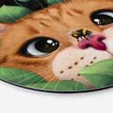 Fototapet Sweet cat in the bush - Korenkova - rund – print på aluminium (Alu-Dibond)