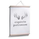 Póster - Expecto Patronum