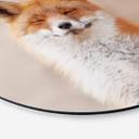 Tableau en alu-Dibond van Duijn - Renard content - Rond