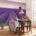 Fotobehang Vliesbehang Provence