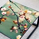 Plateau de table en verre - Éveil du printemps - Carré