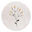 Billede Delikat plante med gule blomster - Goed Blauw - rund – print på aluminium (Alu-Dibond)
