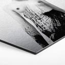 Hexagon Alu-Dibond Zilvereffect Ireland - The Sweetest Kill