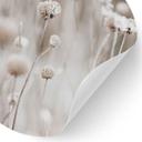 Vinilo decorativo de flores secas en tonos suaves - Annie - Redondo