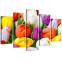 5 stykke lærredsprint farverige tulipaner blomster