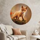Vinilo decorativo Adamec - Joven zorro en el bosque - Redondo
