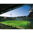 Fototapet Weser Stadion indendørs 336x260 cm