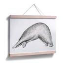 Póster Kvilis - Oso Yoga 01