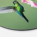 Tableau sur alu-Dibond rond van Duijn - Colibri dans la magie des fleurs roses