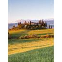 Fototapet - Colombo - Solnedgang i Toscana