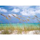 Fotobehang Papierbehang Ocean Breeze