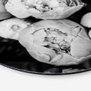 Tableau sur alu-Dibond rond Sisi & Seb - Pivoines