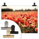 Poster Champ de coquelicots