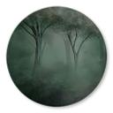 Glasschilderijen Forest Magic in the Morning Mist Green - Ms Tiff - Rond
