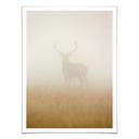 Póster Harling - Ciervo en la niebla