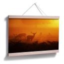 Poster - Cerfs au coucher de soleil