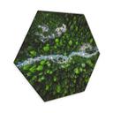 Hexagone - alu-Dibond Murko - Mère Nature