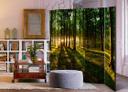 Screen room divider - Morgen i skoven, 3-delt