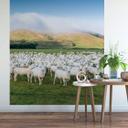 Fototapet Colombo - Fåreflok i New Zealand - 192x260 cm