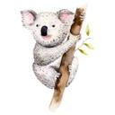 Sticker mural Kvilis - Koala