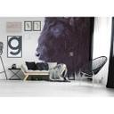 Livingwalls papier peint photo ARTist Black Buffalo