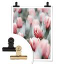 Plakat - Annie - Spring Tulips