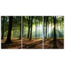 3-delt lærredsprint, skovgrøn natur