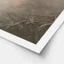 Poster Mystiek regenwoud in de mist - Ms Tiff