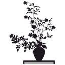 Ikebana