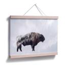 Plakat - Beáta - Bison