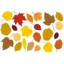 Sticker mural - Set feuilles automne 1